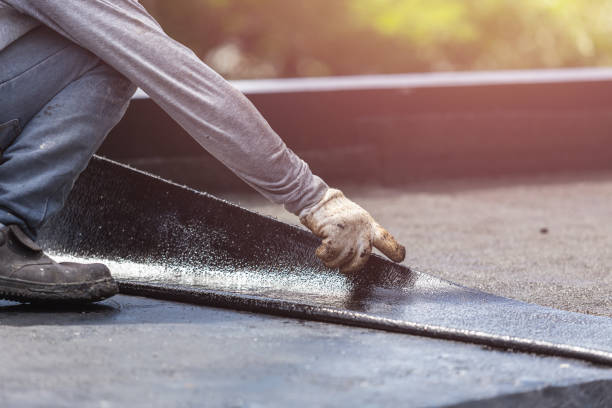 Professional Interior Drainage System technician working in Byron, GA